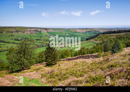 Glaisdale dal nab rigg North York Moors National Park North Yorkshire Foto Stock