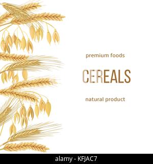 Frumento, orzo, avena e segale set. testo alimenti premium, prodotto naturale. quattro grani di cereali con orecchie, covone Illustrazione Vettoriale