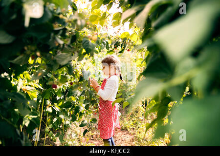 Piccola ragazza giardinaggio nel giardino sul retro. Foto Stock