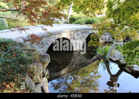 Un ponte di luna riflessa in uno stagno e incorniciato giapponesi con alberi di acero nel giardino giapponese, maymont park, Virginia Foto Stock