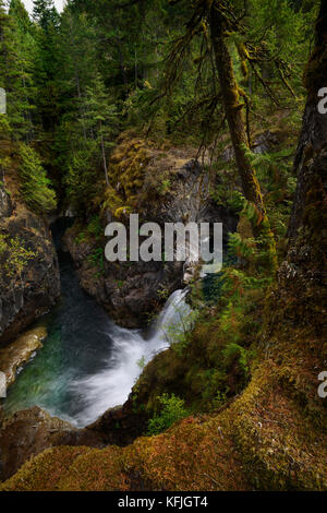 Splendido scenario naturale delle cascate al Little Qualicum Falls Provincial Park, Vancouver Island, BC, Canada Foto Stock