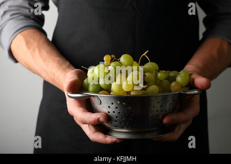 Raccolto di uve nel colino in mani Foto Stock