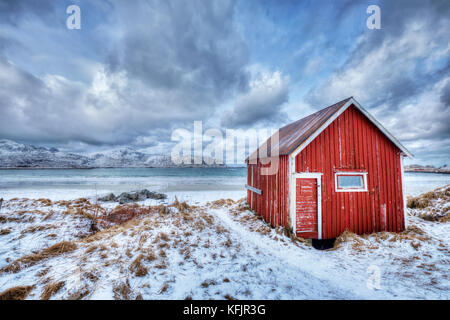 Red rorbu house sparso sulla spiaggia del fiordo, Norvegia Foto Stock