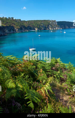 Pointe de Saint Hernot Morgat Crozon Penisola Finistere Bretagna Francia. Foto Stock