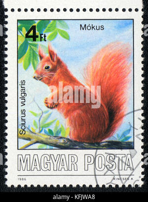 Un francobollo stampato in magyar mostra lo scoiattolo Sciurus vulgaris, circa 1986 Foto Stock
