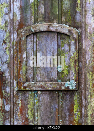 Vecchia porta di legno con licheni e muschi e un piccolo telaio - verticale texture di sfondo Foto Stock