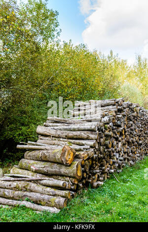 Un taglio del legno palo lungo una strada di registrazione in una foresta francese. Foto Stock