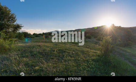 Sunny dawn landscape in a field Foto Stock