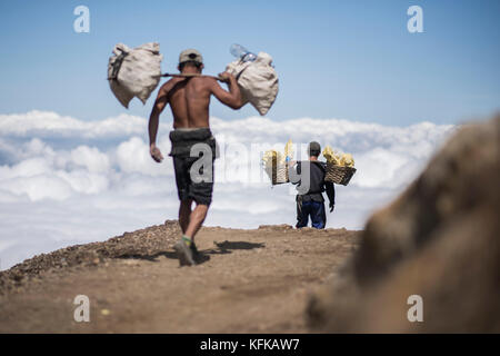 Miniere di zolfo scendono dall'kawah ijen portando un cesto pieno di rocce di zolfo, kawah ijen, Indonesia. Foto Stock
