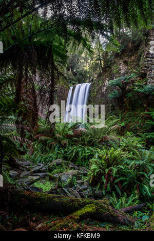 Cascata nascosta in una foresta pluviale, con setosa flusso di acqua, circondato da felci e fogliame Foto Stock