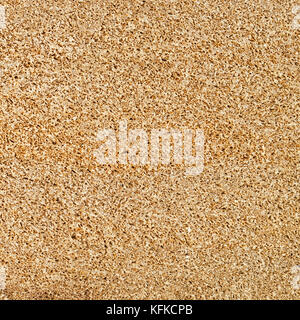 Perfetta di pomice consistenza porosa sfondo, stoneh naturale Foto Stock