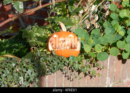 La zucca intagliata per Halloween Foto Stock