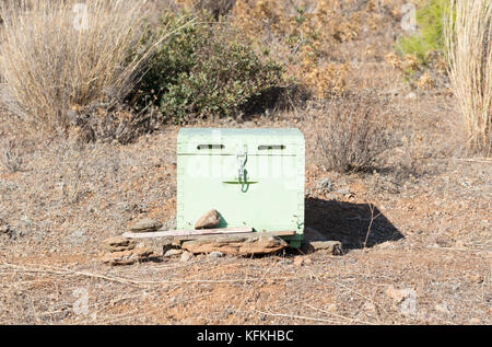 Alveare con api in Grecia - messa a fuoco selettiva Foto Stock