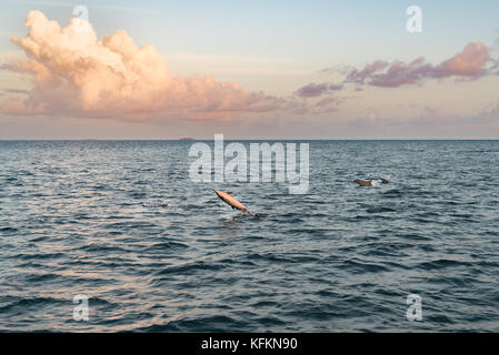 Maldive Foto Stock