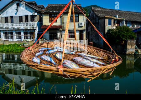 Ningbo, Ningbo, Cina. 30 ottobre 2017. Ningbo, CINA-ottobre 2017: (SOLO PER USO EDITORIALE. CHINA OUT). Pesci salati essiccati all'aria possono essere visti appesi ai pali a Ningbo, nella provincia dello Zhejiang della Cina orientale. Crediti: SIPA Asia/ZUMA Wire/Alamy Live News Foto Stock