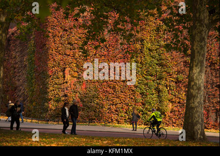 Westminster, Londra, Regno Unito. 30 ottobre 2017. Sole e colori autunnali intorno a Westminster nel centro di Londra a temperature fresche. Bronzo colorato Ivy sulla Cittadella a Horse Guards Parade Credit: Malcolm Park / Alamy Live News. Foto Stock