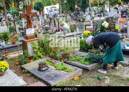 Gdansk, Polonia. 30 ott 2017. una vista generale del cimitero oliwski in Gdansk, Polonia è visto il 30 ottobre 2017 come prima del 1° novembre, Solennità di tutti i santi (wszystkich swietych), la gente paga il rispetto per i morti di familiari, pulire le loro tombe di famiglia e molti fiori e candele sono posizionati sulla parte superiore delle tombe. Tutti i Santi il 1 novembre e il giorno della commemorazione di tutti i defunti il 2 novembre sono quando milioni di poli di visitare le tombe dei loro cari, spesso in viaggio di centinaia di chilometri da casa loro città credito: Michal fludra/alamy live news Foto Stock