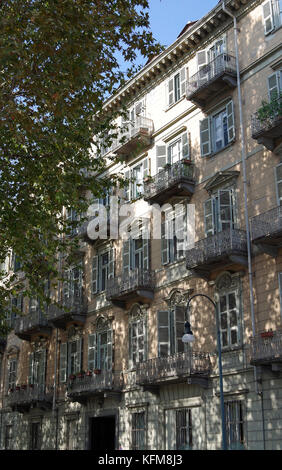 Ombre sulla parete dell'edificio di appartamenti, creato da platani, platanus acerifolia x, Foto Stock
