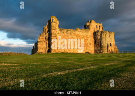 East Lothian, Scozia, Regno Unito. Caldo a bassa luce del sole al tramonto sulla parete di tamponamento del XIV secolo rovinato Tantallon Castle, cliff nel Firth of Forth vicino a North Berwick Foto Stock