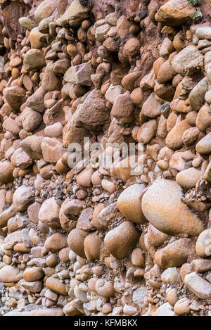 Geologia - una vista in primo piano di un'area di spiaggia sopraelevata a Porth Nanven in Cornovaglia. Foto Stock