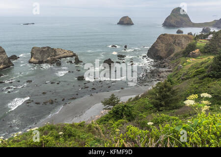 La costa lungo brookings, Oregon Foto Stock