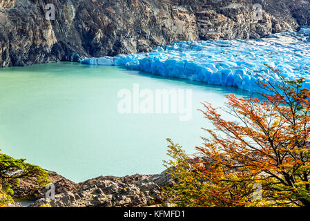 Patagonia, Cile - ghiacciaio Grey è un ghiacciaio in Patagonia meridionale del campo di ghiaccio sulla Cordigliera del Paine Foto Stock