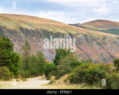 Paesaggio di Wicklow Mountains in colori autunm Foto Stock