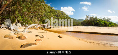 Sealers Cove panorama nel Wilsons Promontory National Park, Victoria, Australia Foto Stock