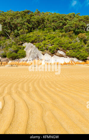Modelli di sabbia marea sulla terraena con massi e foreste sfondo Foto Stock