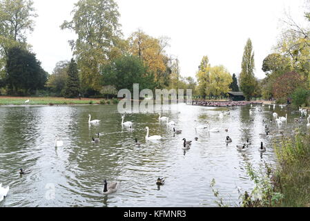 Fotografia di strada al Bois de Vincennes Parigi, Francia Foto Stock