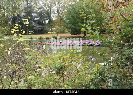 Fotografia di strada al Bois de Vincennes Parigi, Francia Foto Stock