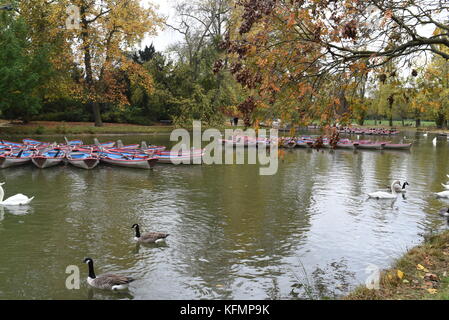 Fotografia di strada al Bois de Vincennes Parigi, Francia Foto Stock