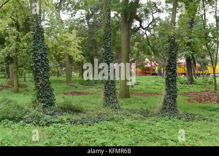 Fotografia di strada al Bois de Vincennes Parigi, Francia Foto Stock