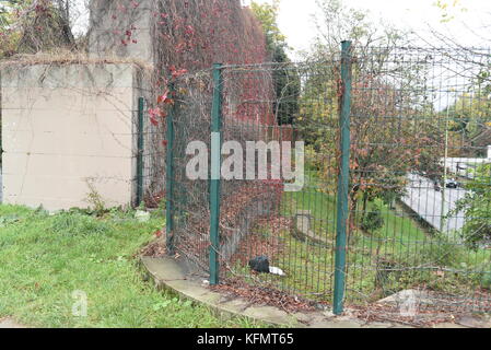 Fotografia di strada al Bois de Vincennes Parigi, Francia Foto Stock