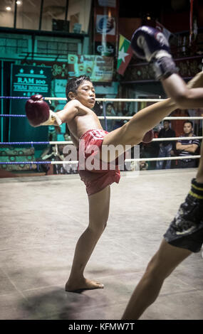 Colpire. Ragazzi, Muay Thai boxers in lotta, Bangkok, Thailandia Foto Stock