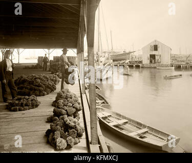 Sponge Exchange, Key West Foto Stock