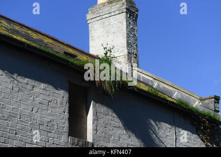 Gravemente bloccato ed incolto grondaie in una casa che è caduto in rovina. Foto Stock