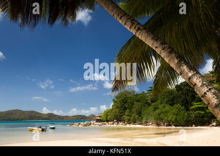 Delle Seychelles, Praslin, Anse munita, spiaggia orlata di palme e medaglia d'Or Guest House sulla capezzagna Foto Stock