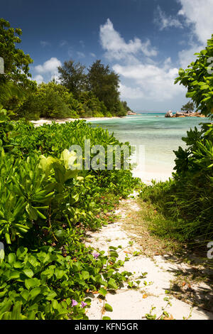 Delle Seychelles, Praslin, Anse Takamaka, percorso a vuoto appartata spiaggia di sabbia bianca Foto Stock