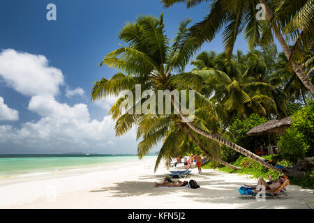 Delle Seychelles, Praslin, Anse Volbert, spiaggia, i turisti a prendere il sole in ombra delle palme Foto Stock