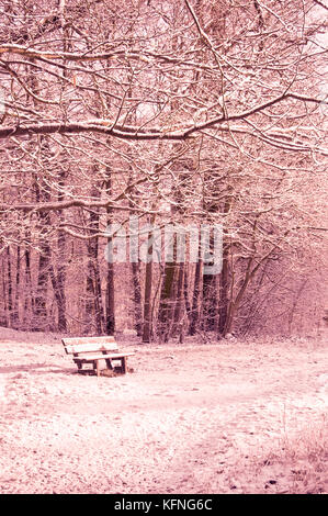 Snowy banco in una foresta, scena invernale Foto Stock