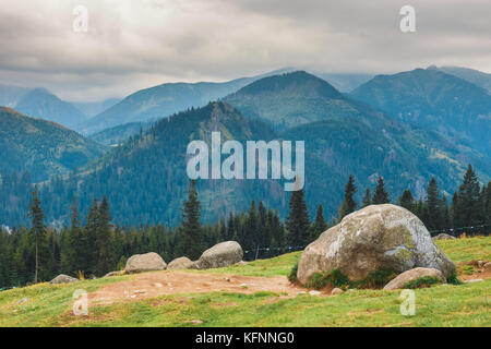 Rusinowa glade, bellissimo luogo in polacco monti Tatra, Polonia Foto Stock