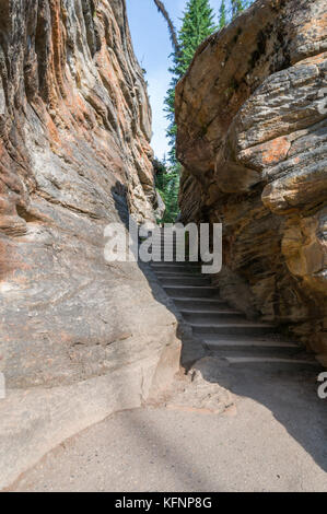 Athabasca falls area Foto Stock