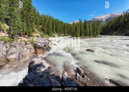 Sunwapta rientra nel parco nazionale di Jasper Foto Stock