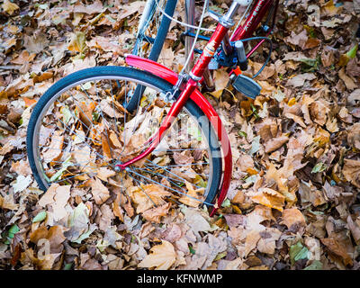 Biciclette parcheggiate nel profondo le foglie di autunno a Cambridge Regno Unito Foto Stock