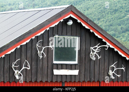 La renna palchi su una facciata in Norvegia Foto Stock