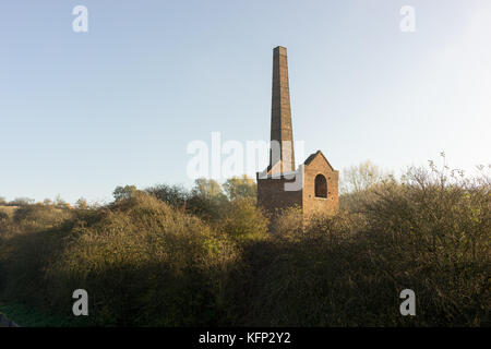 Foro bumble e warrens hall natura locale riserva Foto Stock