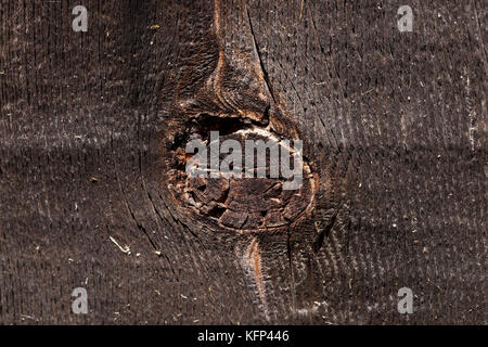 Vecchio muro di tavole nero vecchio tronco di albero Foto Stock