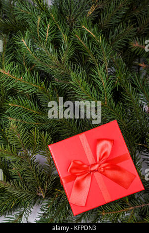 Casella rossa con un inchino sui rami di abete rosso. regalo di Natale di close-up. Foto Stock