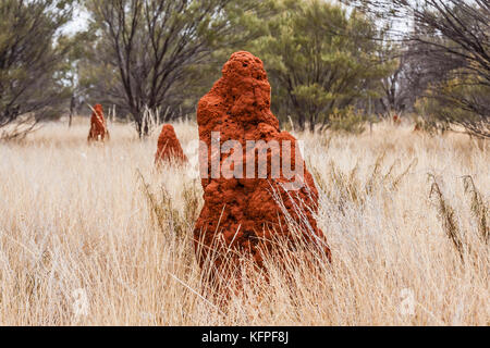 Tumuli di termite nell'entroterra, Austalia Foto Stock